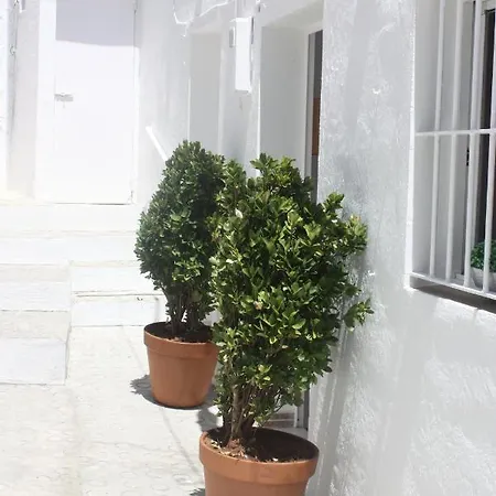 La Moradita Vejer de la Frontera