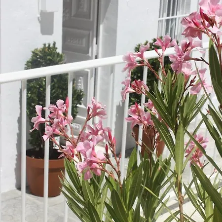La Moradita * Vejer de la Frontera