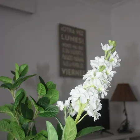 La Moradita Apartment Vejer de la Frontera